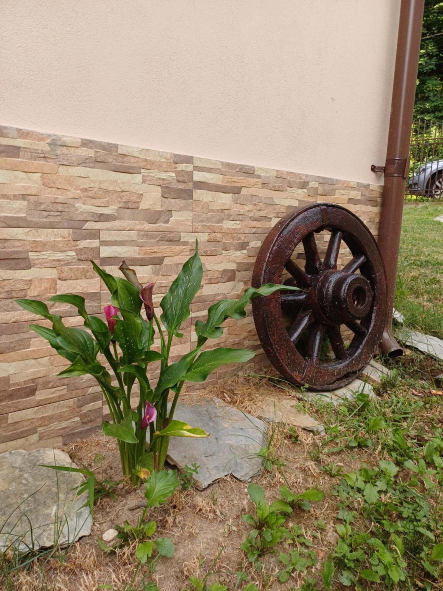 Apartamento Casa Radu Novaci-Străini Exterior foto
