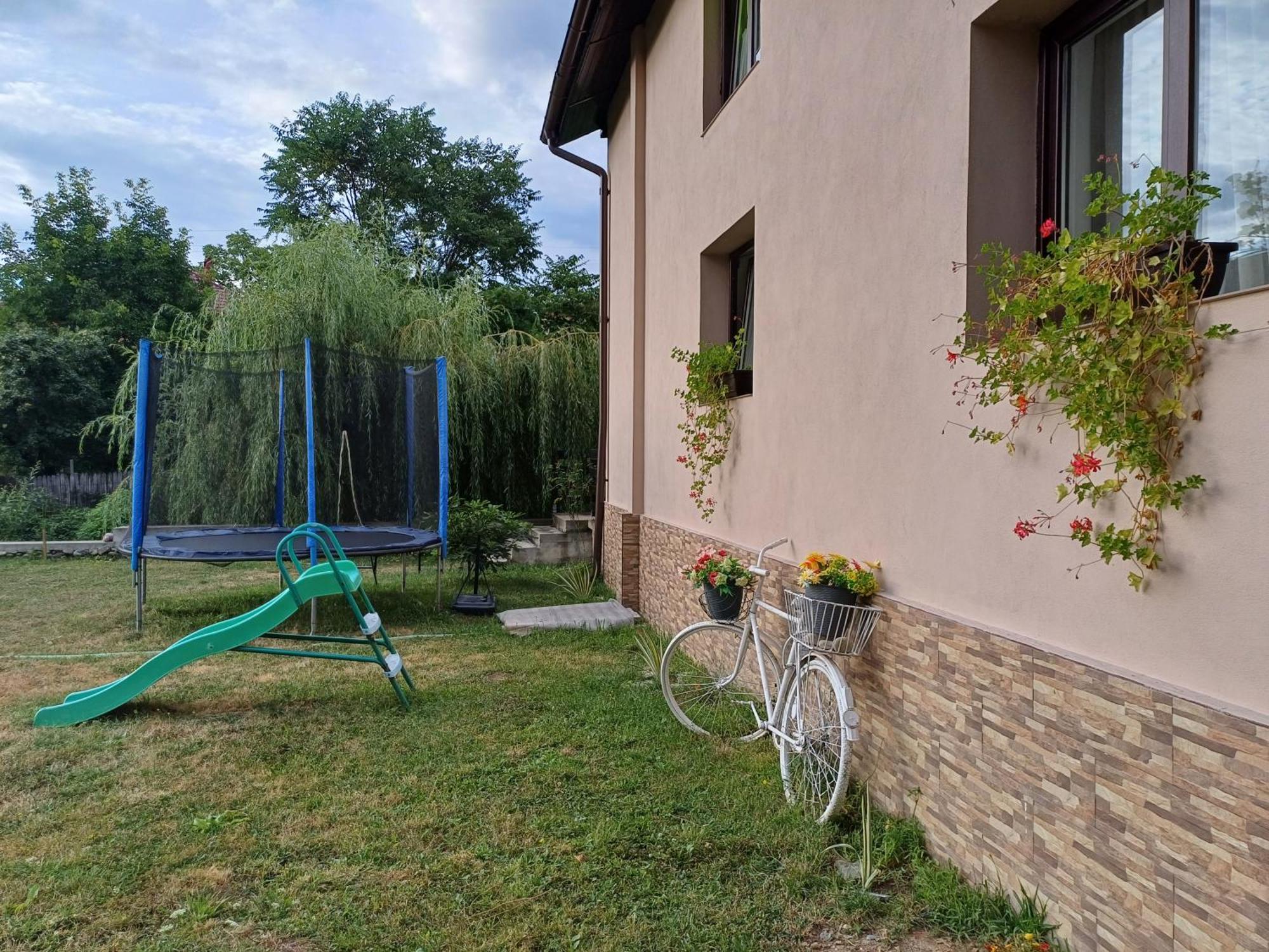 Apartamento Casa Radu Novaci-Străini Exterior foto