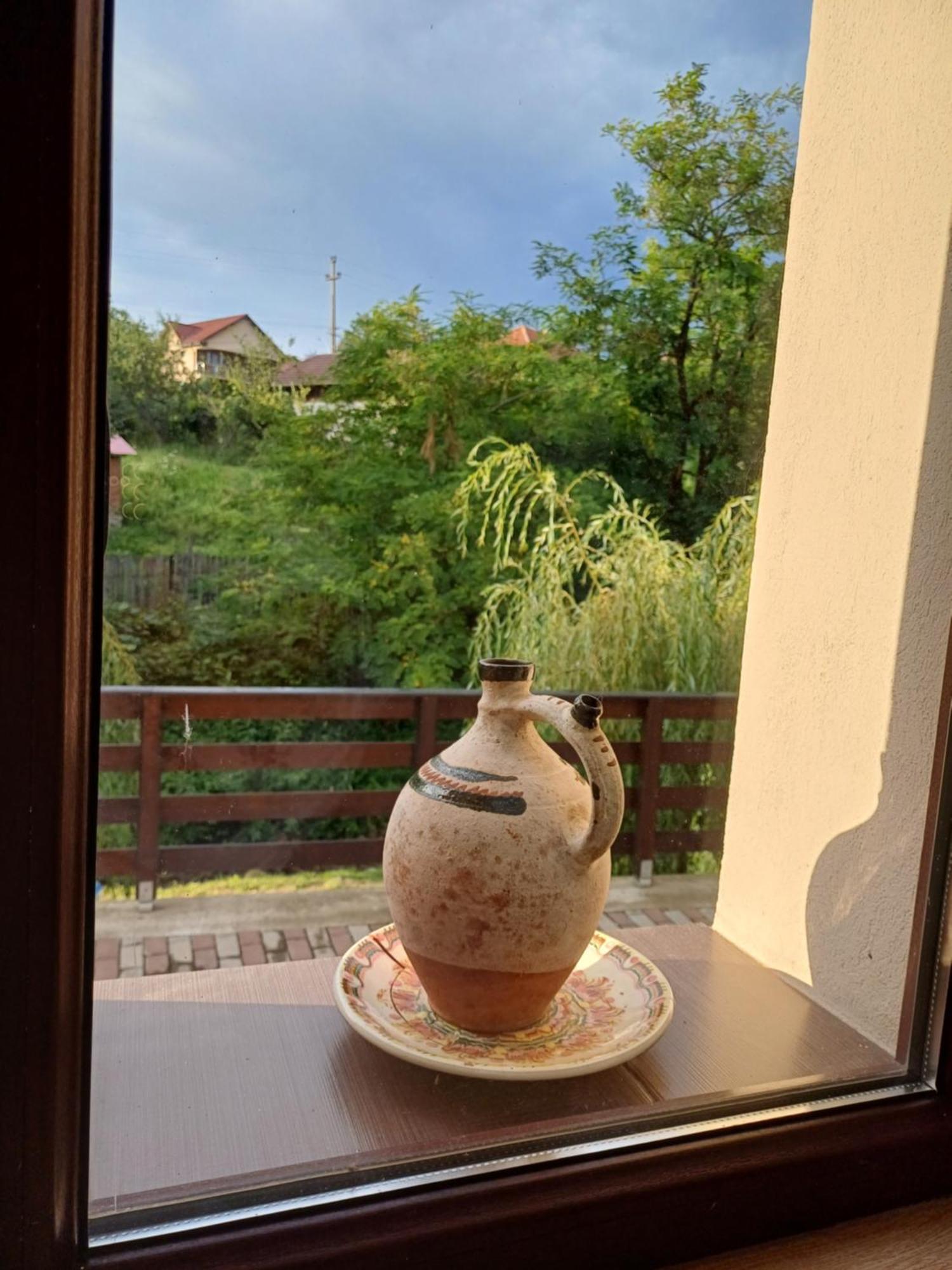 Apartamento Casa Radu Novaci-Străini Exterior foto
